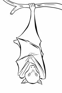 Bats, : Bats Sleeping Coloring Page Bat coloring pages, Slee