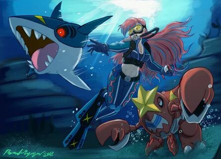 Pokemon Sapphire Team Aqua