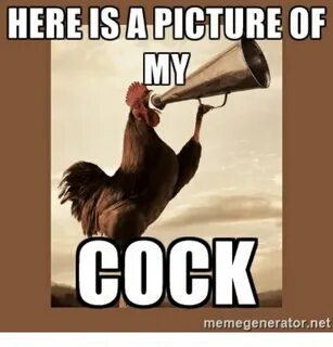 HEREIS a PICTURE OF COCK Memegeneratornet a Picture Meme on 