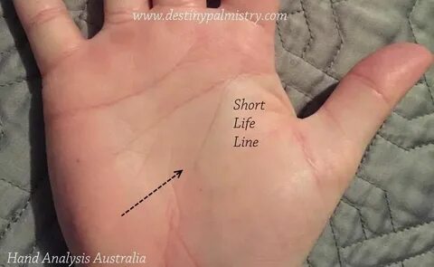 Short Life Line in Palmistry, the Interesting meaning. - Des
