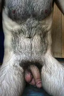 Post by Smitty in topic Gay hairy cocks Sharesome