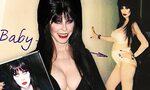Elvira Coffee Table Book / Elvira Mistress Of The Dark Delux
