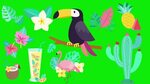 Animation Aloha Green Screen - Animasi Burung Bergerak + Lin