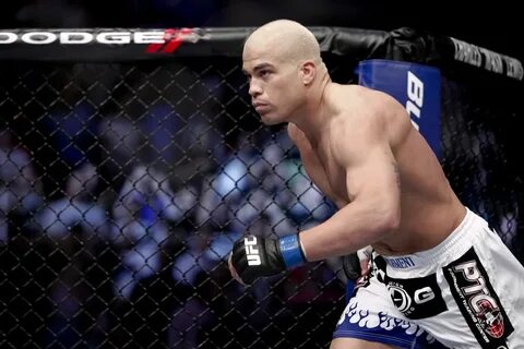 Tito ortiz fighting