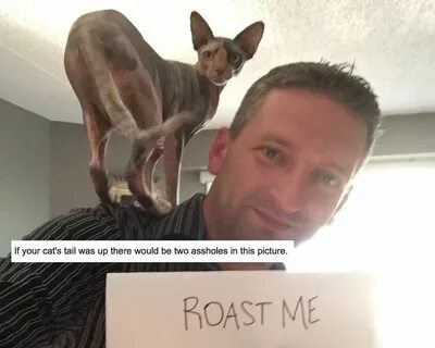 People Are Asking Reddit To Roast Them And It's Painfully Am