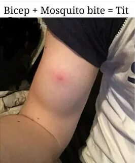 Bicep + Mosquito bite = 1 tit - Meme by WhiteLies :) Memedro