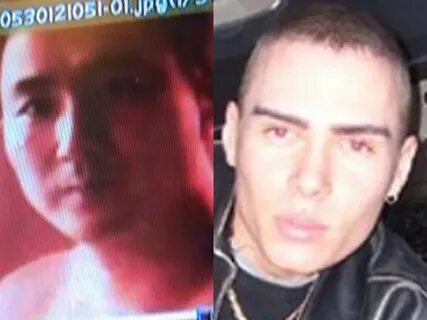 Luka Rocco Magnotta: Still at large Bazaar Daily U.K