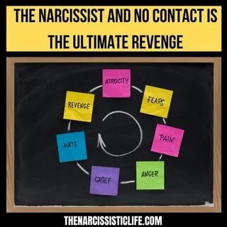 Leaving the Narcissist - The Narcissistic Life