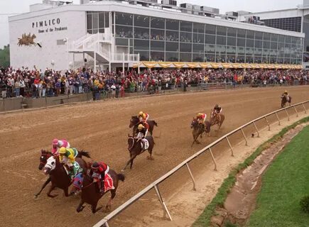 Read Horse Collapses And Dies After Race At Pimlico Ahead Of