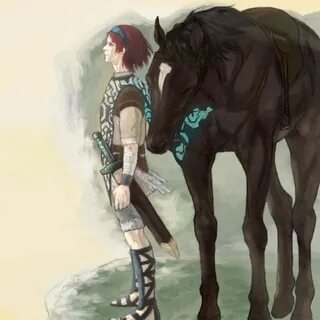 wander and agro (shadow of the colossus) drawn by youken Dan