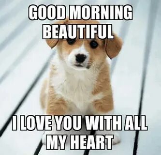 15 Romantic Good Morning Meme For Him Loveimageswallpaper