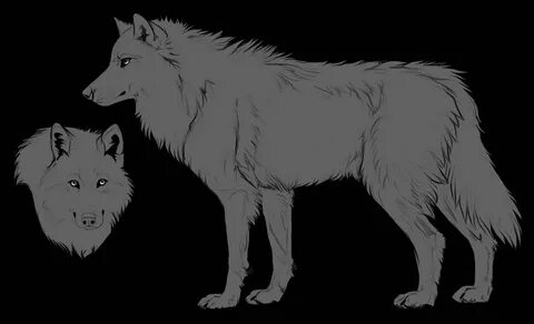 Free wolf side view and headshot PSD by Chickenbusiness on D