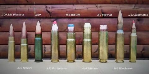 50 beowulf ballistics