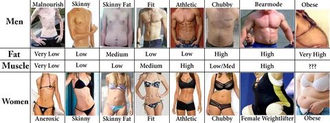 Fit Body Chart.