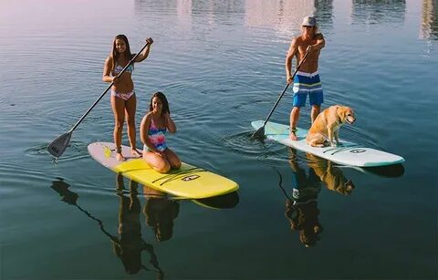 Gallery of best hawaii sup best standup paddleboard - stand 