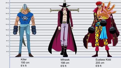The Best 13 Doflamingo One Piece Height Comparison - Vodooqu