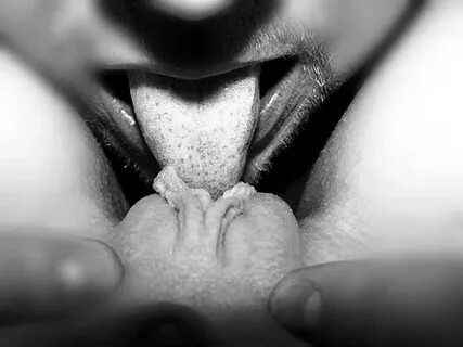 Oral Sex Eating Pussy
