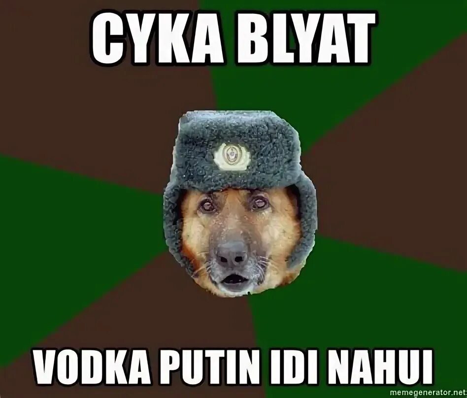 Soviet Dog Meme Sex Free Nude Porn Photos