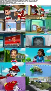 Paw Patrol S04E06 Pups Save the Critters 720p WEB-DL AAC 2.0