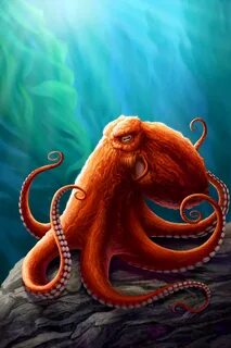 Pin by joanne jenney on Under the sea paint Octopus painting