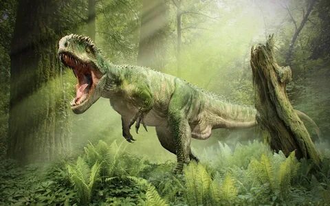 tyrannosaurus, Rex, Roar, T rex, Dinosaur Wallpapers HD / De