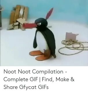 🇲 🇽 25+ Best Memes About Pingu Noot Noot Pingu Noot Noot Mem