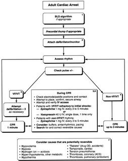 Acls Test Answers Pdf : Acls Ecg Rhythm Strips Pretest Quest