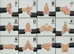 Taijutsu Hand Signs / Taijutsu generally require no hand sea