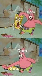 Dom Clos Sub Dom Sub When She Asks to Play Rough Rough Meme 
