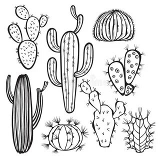 Cactus Drawing Outline at PaintingValley.com Explore collect