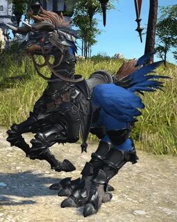 Get Chocobo Barding Pics