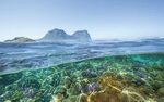 4 Incredible Nature Experiences You Can Have On Lord Howe Is