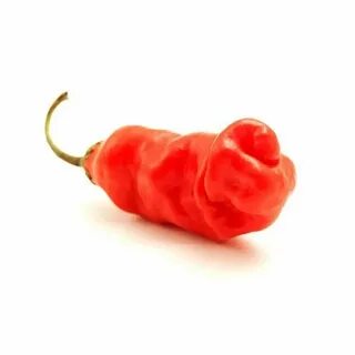 Peter Peppers - Tero Vegetable