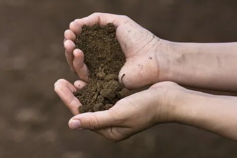 Revision-Grade 2 Soil and types of soil Baamboozle