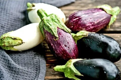 13 Best Italian Eggplant Varieties to Consider Growing