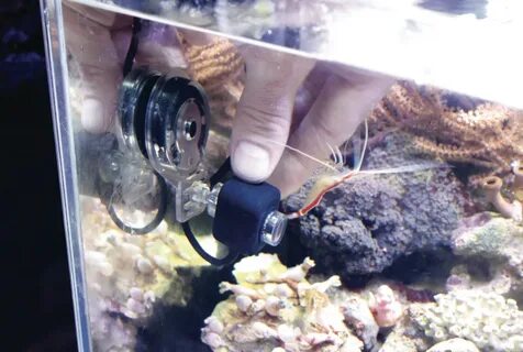 TMC launches new REEF-Cam for the aquarium - Practical Fishk