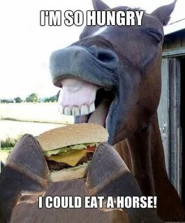 25 Horses Memes You Didn't Know You Needed - Boredom Kills F