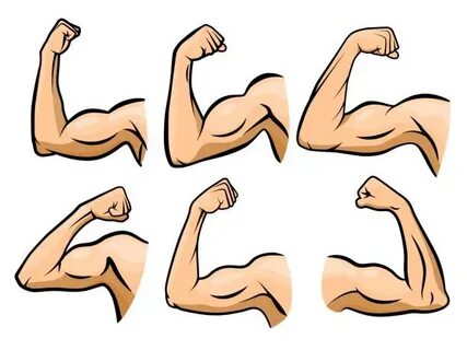 Male Biceps Cartoons Сток видеоклипы - iStock