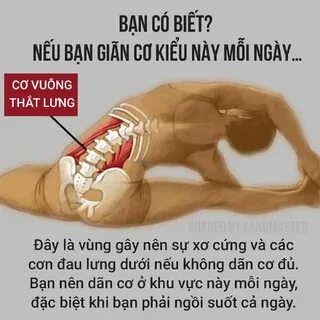 NHỮNG BÀI TẬP YOGA ĐƠN GIẢN GIÚP KÉO DÀI TUỔI THỌ - KỸ NĂNG MỚI