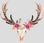 Pin by 🚜 🍷 on Nails Deer skull tattoos, Skull tattoo flowers