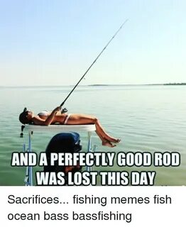 Fishing Memes