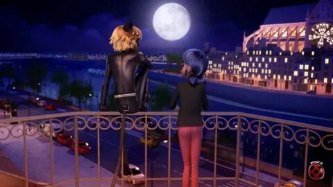 Miraculous Ladybug Marichat Wallpapers - Wallpaper Cave