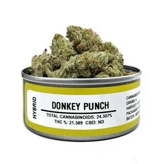 Buy Space Monkey Donkey Punch Online - Space Monkey Donkey P