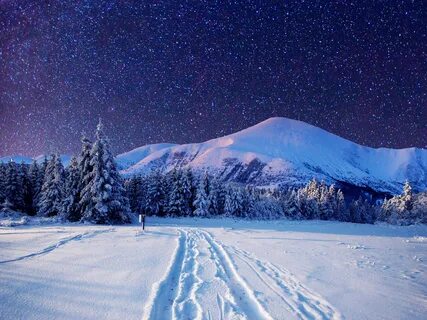 Картинка Звезды Ель Горы зимние Природа лес Небо снега Пейза