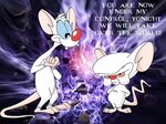 Pinky and the brain image by scoobycub39 on Photobucket Cart