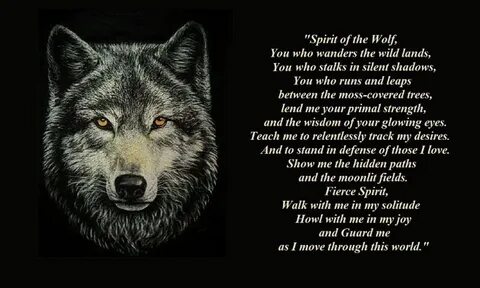 20+ Lone Wolf Quote Wallpapers ... Lone wolf quotes, Wolf qu