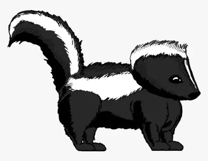 Skunk Clipart Striped Skunk - Skunk Clipart Transparent, HD 