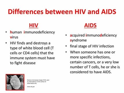 HIV Human Immunodeficiency Disease - ppt download