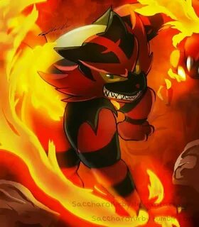 Pin de Blaze Fox en Incineroar Pokemon iniciales, Pokémon so