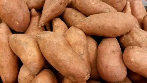 How To Cure Sweet Potatoes After Digging